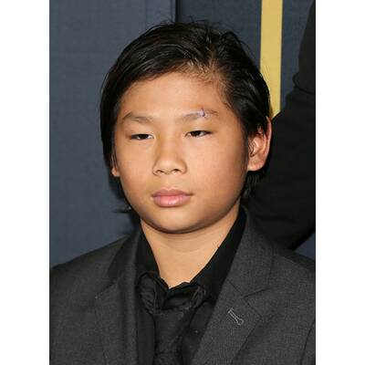 Brad Pitt, Maddox, Pax und Shiloh springen für Angelina Jolie ein