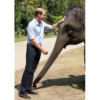 Prinz William besucht Elefanten-Schutzgebiet