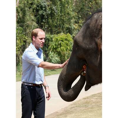 Prinz William besucht Elefanten-Schutzgebiet