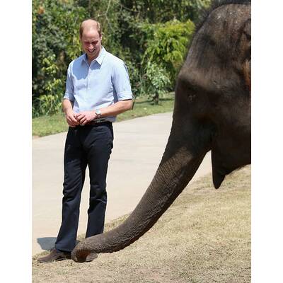 Prinz William besucht Elefanten-Schutzgebiet