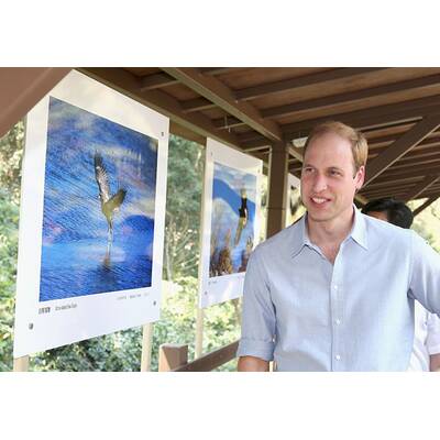 Prinz William besucht Elefanten-Schutzgebiet