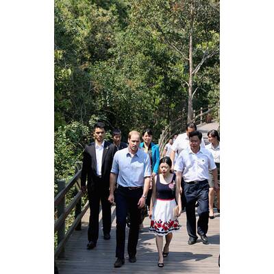 Prinz William besucht Elefanten-Schutzgebiet