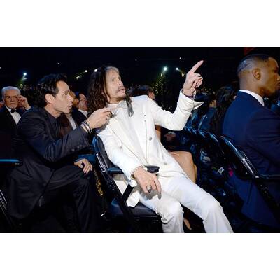 Die Stars bei den Grammys 2014