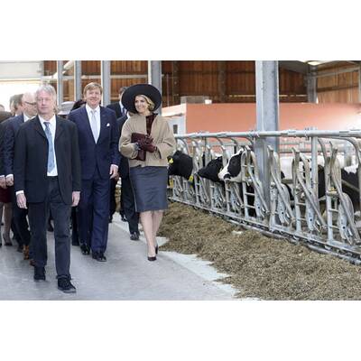 Königin Máxima: Stall-Rundgang in Deutschland