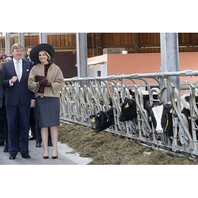 Königin Máxima: Stall-Rundgang in Deutschland