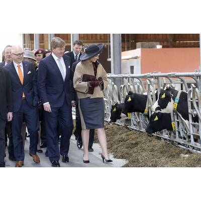 Königin Máxima: Stall-Rundgang in Deutschland