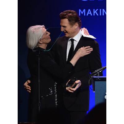 Die Stars bei der amfAR-Gala in New York