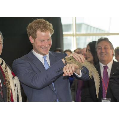 Prinz Harry besucht Neuseeland