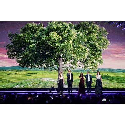 Eurovision Song Contest: Proben zum ersten Halbfinale