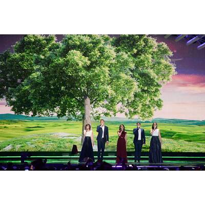 Eurovision Song Contest 2015: Das erste Halbfinale