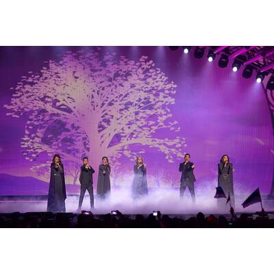 Eurovision Song Contest 2015: Das erste Halbfinale