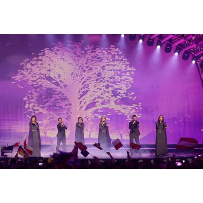 Eurovision Song Contest 2015: Alle Bilder