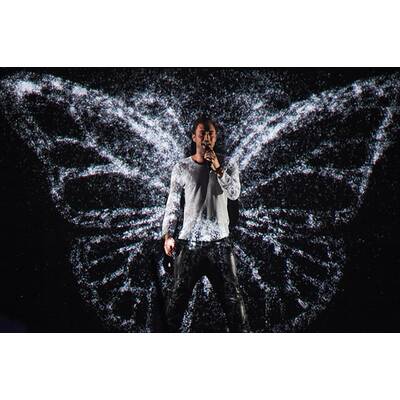 Eurovision Song Contest 2015: Alle Bilder