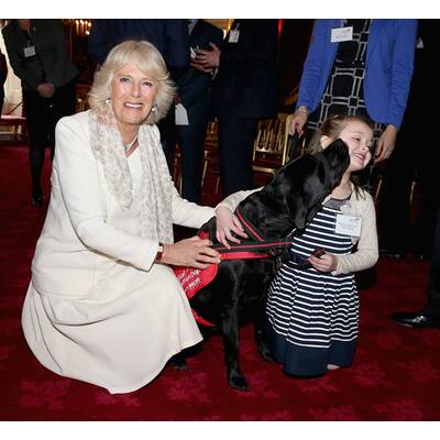 Camilla hat neue Freunde gefunden