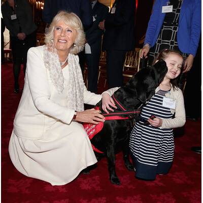 Camilla hat neue Freunde gefunden