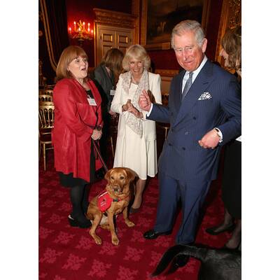 Camilla hat neue Freunde gefunden