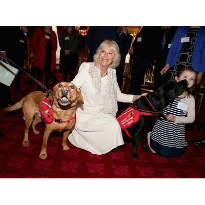 Camilla hat neue Freunde gefunden