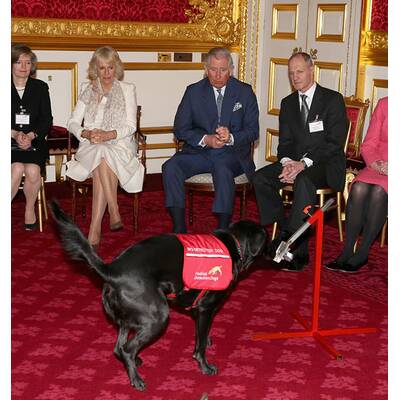 Camilla hat neue Freunde gefunden