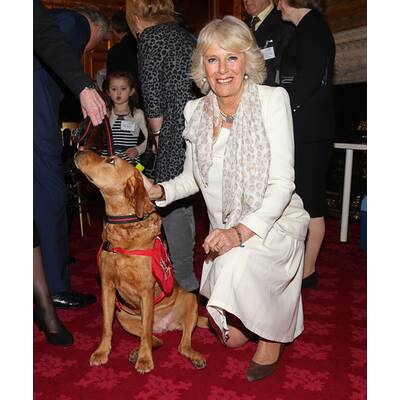 Camilla hat neue Freunde gefunden