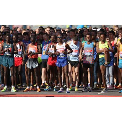 Bilder zum Wien-Marathon 