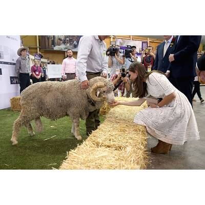 Herzogin Kate, Prinz William & Baby George: Abschied von Australien