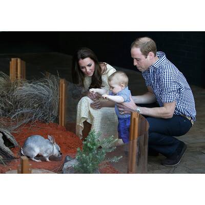 Herzogin Kate & Prinz William besuchen Taronga Zoo