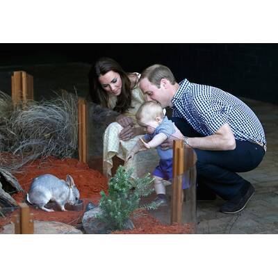 Herzogin Kate & Prinz William besuchen Taronga Zoo