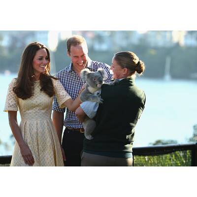 Herzogin Kate & Prinz William besuchen Taronga Zoo