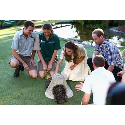 Herzogin Kate & Prinz William besuchen Taronga Zoo