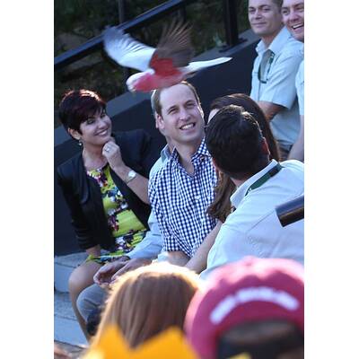 Herzogin Kate & Prinz William besuchen Taronga Zoo