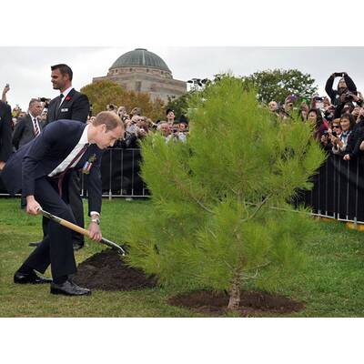 Herzogin Kate, Prinz William & Baby George: Abschied von Australien