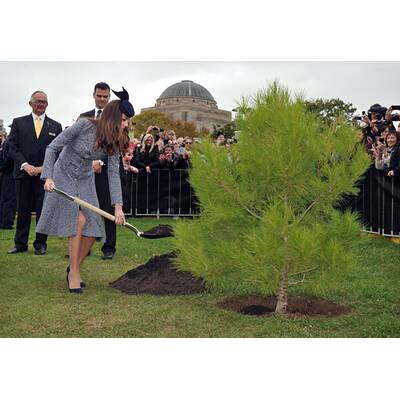 Herzogin Kate, Prinz William & Baby George: Abschied von Australien