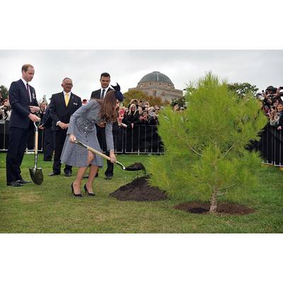 Herzogin Kate, Prinz William & Baby George: Abschied von Australien