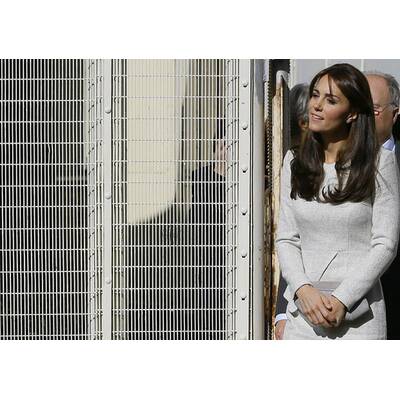 Herzogin Kate im Gefängnis