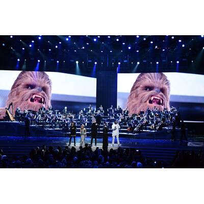 Die Stars bei den American Music Awards 2015