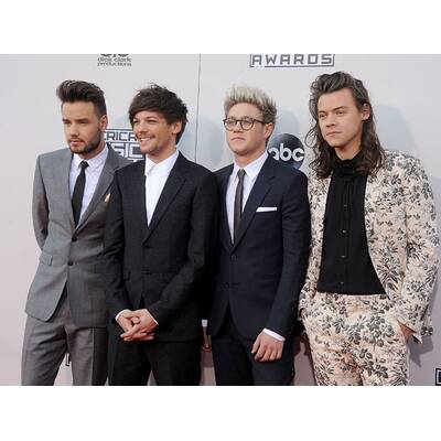 Die Stars bei den American Music Awards 2015