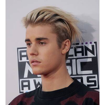 Die Stars bei den American Music Awards 2015