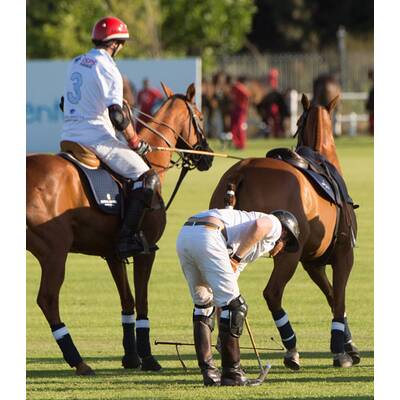 Prinz Harry fällt bei Polo Match vom Pferd