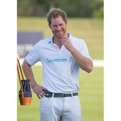 Prinz Harry fällt bei Polo Match vom Pferd