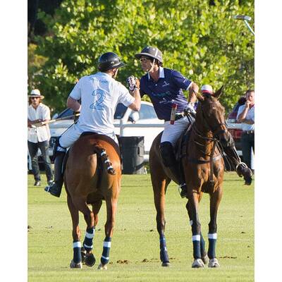 Prinz Harry fällt bei Polo Match vom Pferd