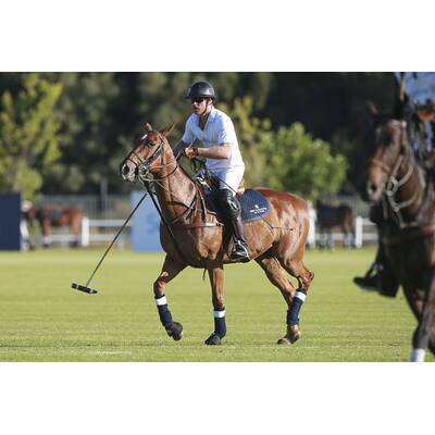 Prinz Harry fällt bei Polo Match vom Pferd