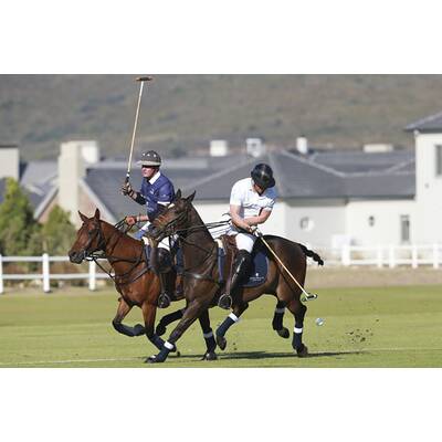 Prinz Harry fällt bei Polo Match vom Pferd