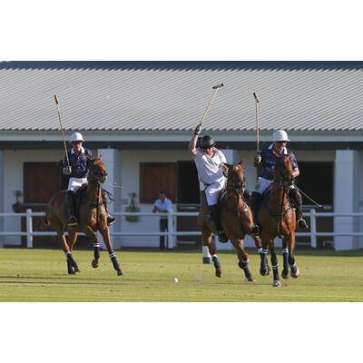 Prinz Harry fällt bei Polo Match vom Pferd