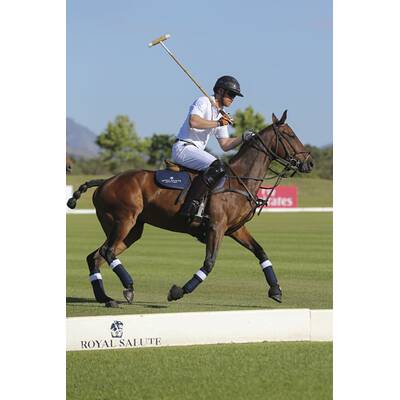 Prinz Harry fällt bei Polo Match vom Pferd