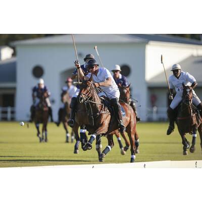 Prinz Harry fällt bei Polo Match vom Pferd