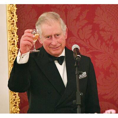 Prinz Charles & Camilla: Dinner in der Hofburg