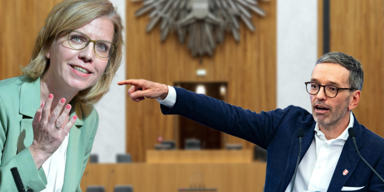 gewessler misstrauen.png