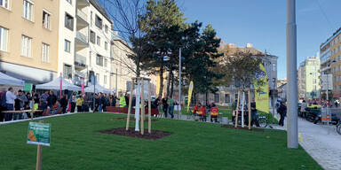 vier B&auml;ume in Ottakring