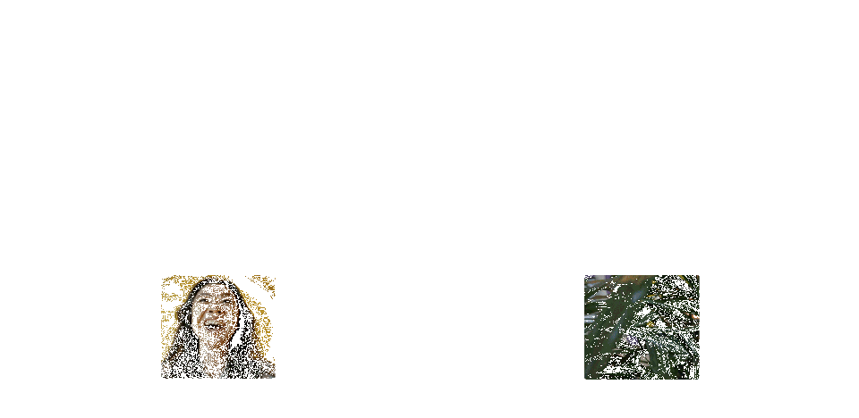 Facebook erlaubt Mini-Videos als Profilbilder