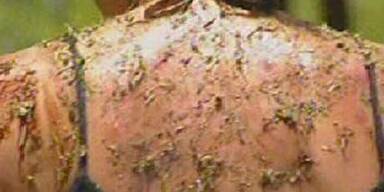 Tränen bei Mausi nach Horrornacht